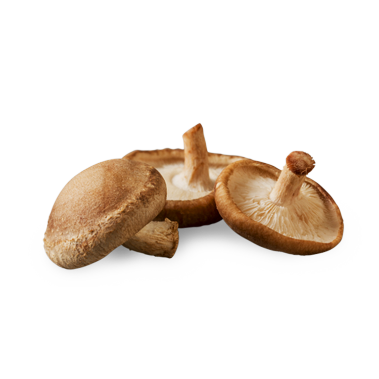 Shiitake