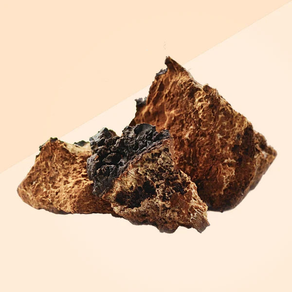 Chaga Extract 30ml