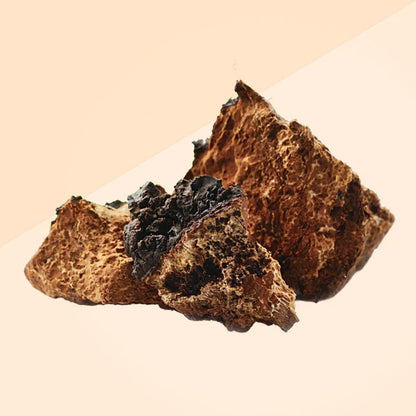 Chaga Extract 30ml